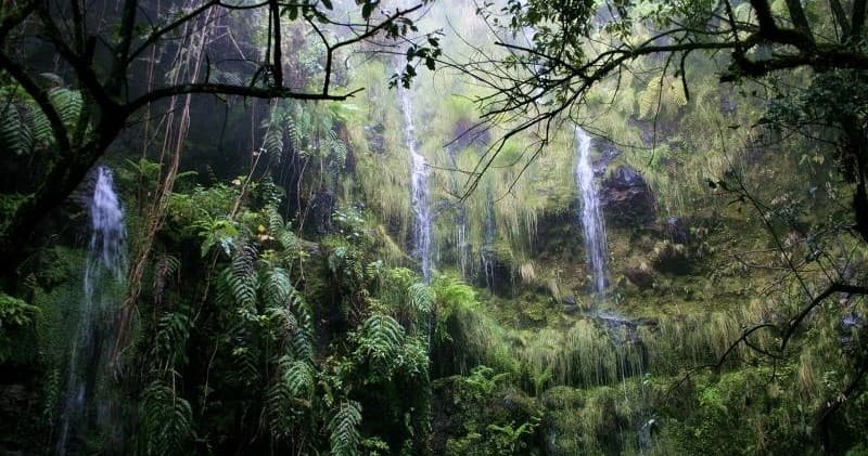 Enchanting Santana (Queimadas – Caldeirão Verde)