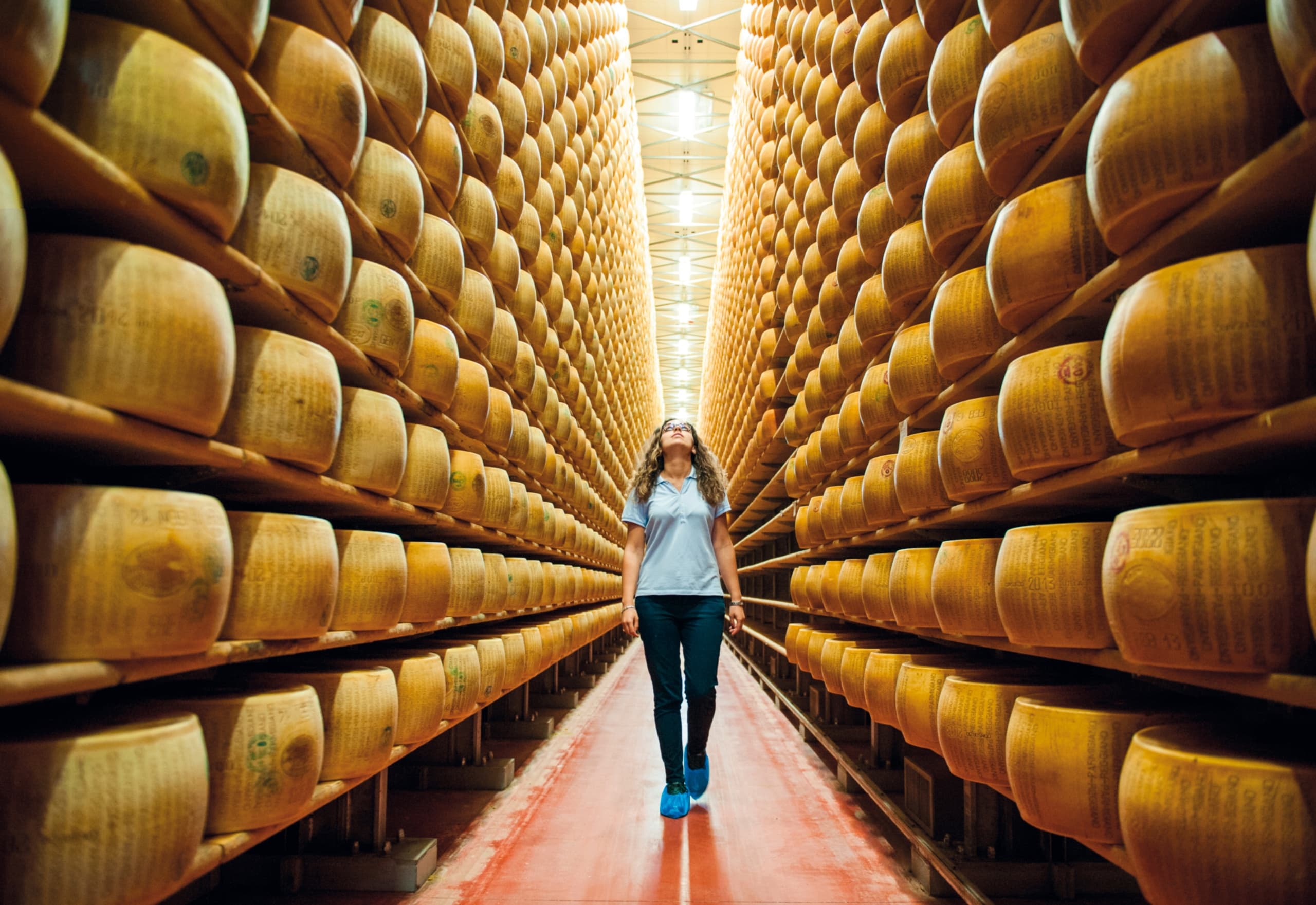 Parmigiano Reggiano Dairy Experience - Private tour