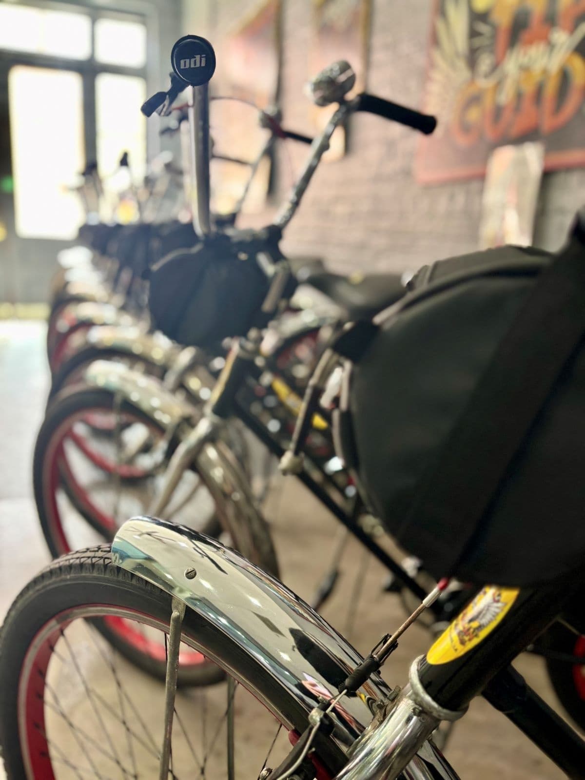 Multi-Day Cruiser Bike Rental