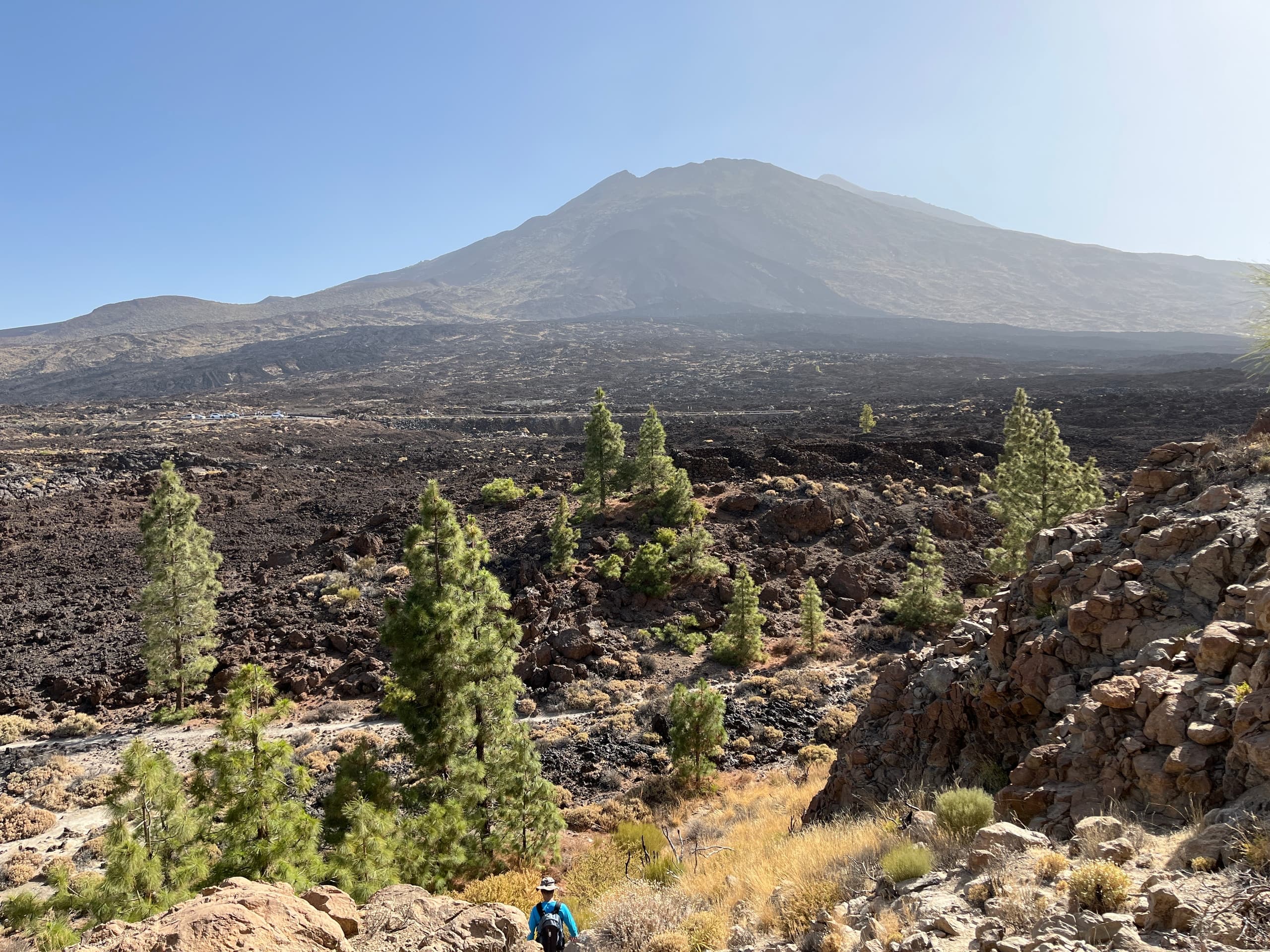 Ruta Panorámica del Pinar: Naturaleza y Volcanes en el Corazón del Teide