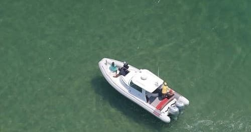 Private White Shark Charter BWE