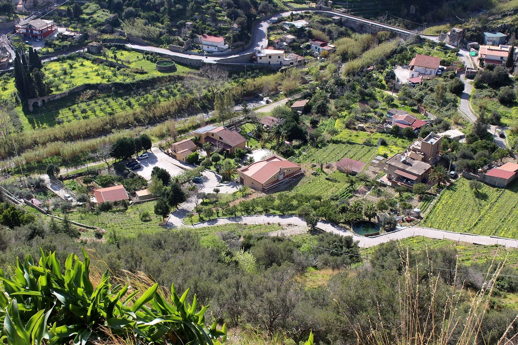 Messina wine tasting tour