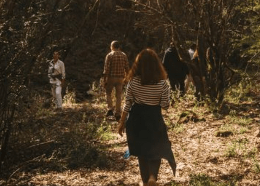 Caminho da Ervedosa (áudio-guia)