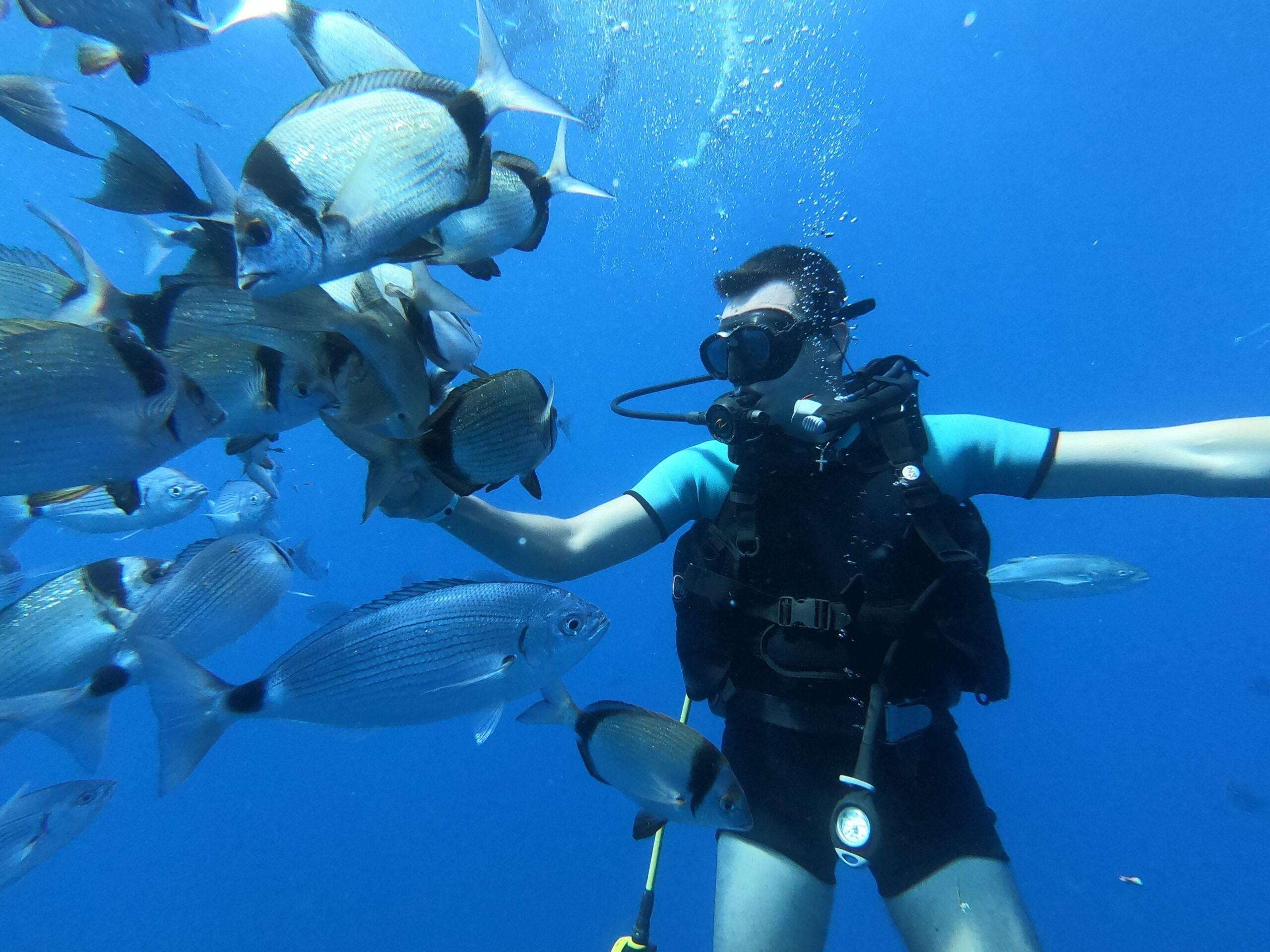 Diving Adventure Cruise – Introdive – Zenobia