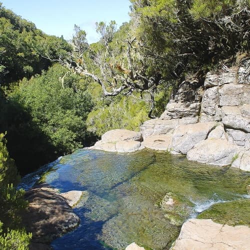 Lakes of Madeira - Lagoa D. Beja