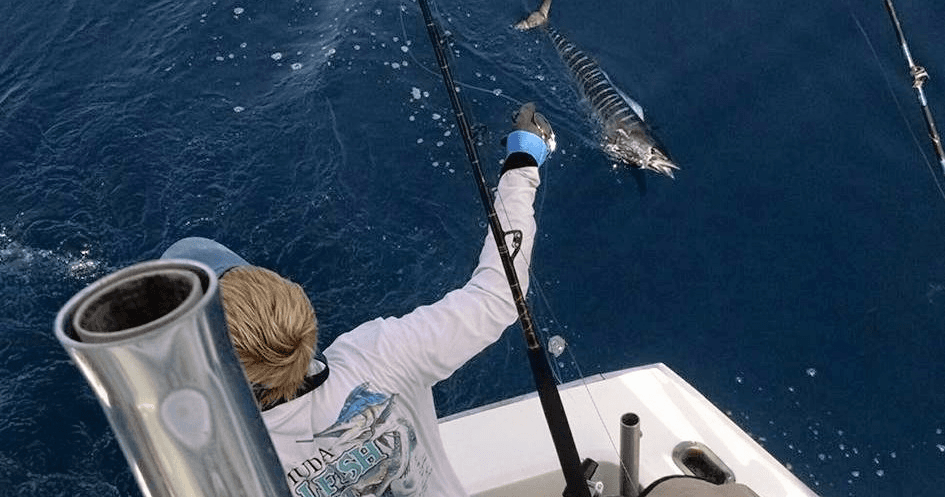 Full Day Charter - 12 Hour