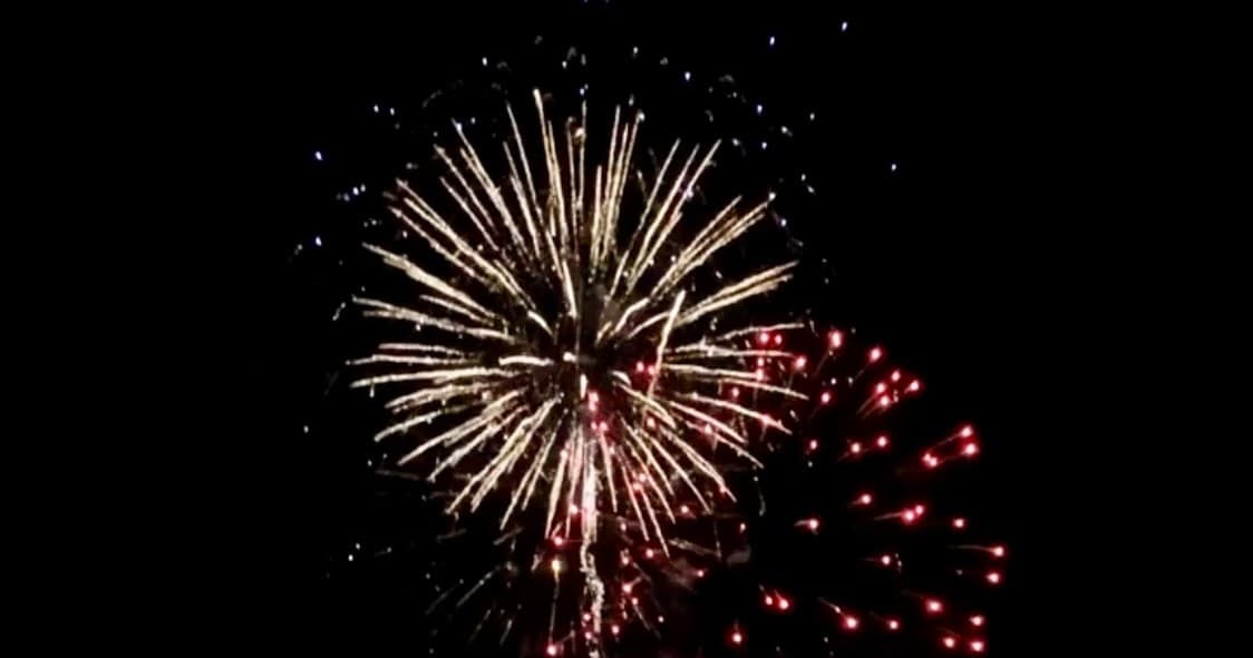 Sunset/Dolphin Eco Tour or Sunset/Fireworks Cruise