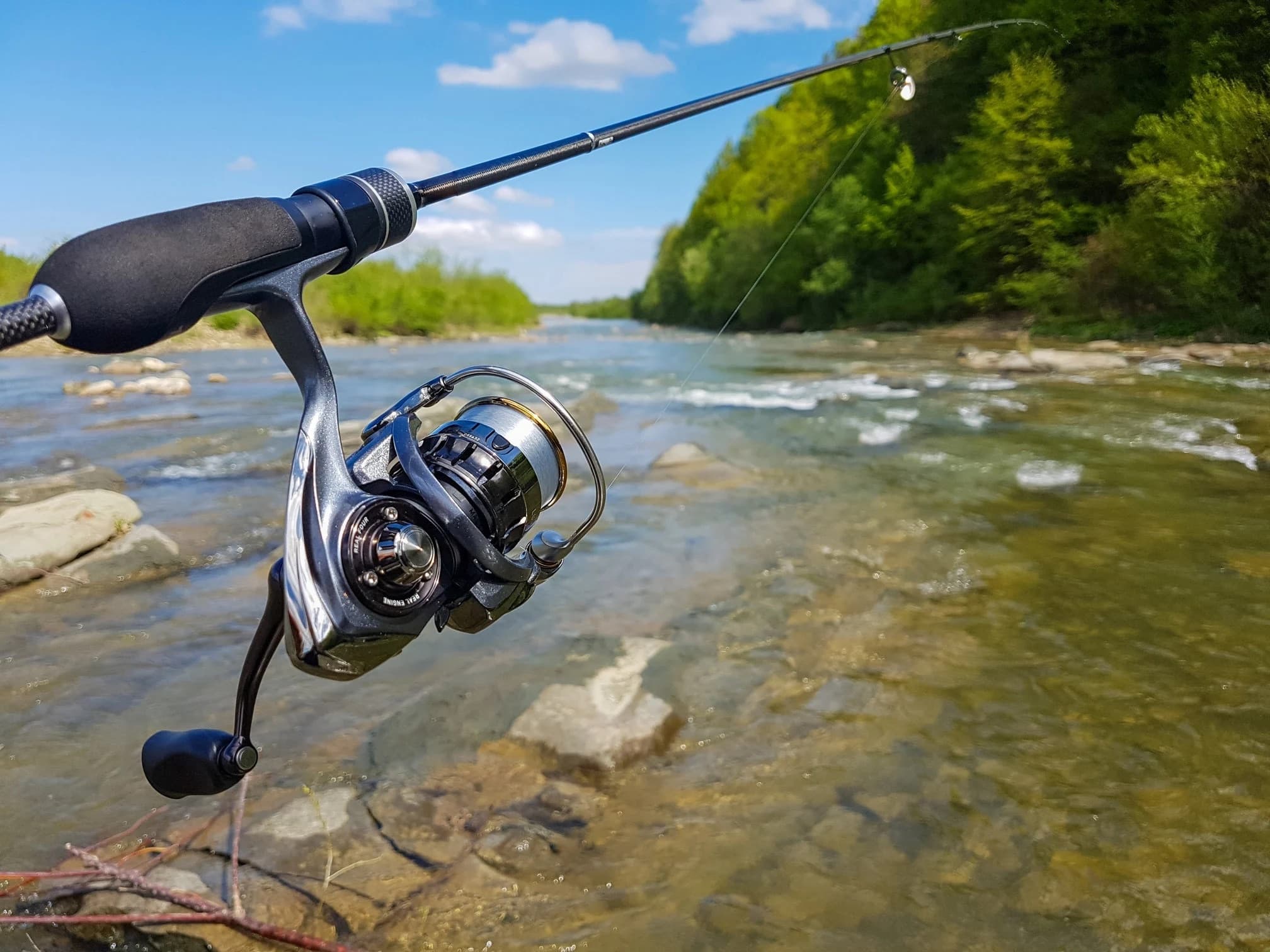 Fishing Pole Rental