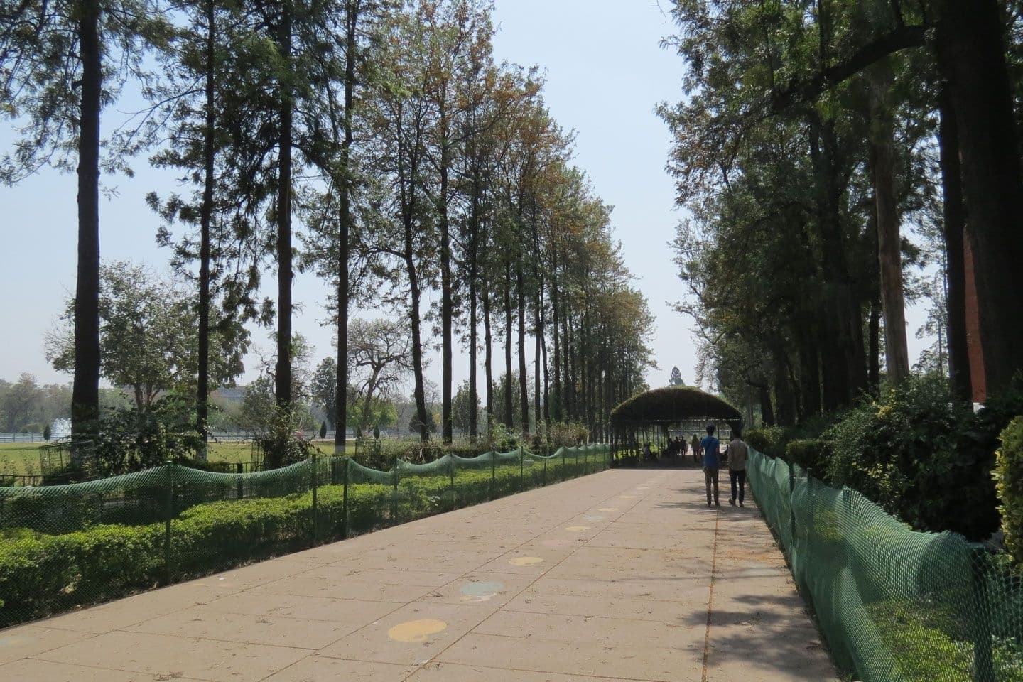 Chandigarh: City center and residential modernism
