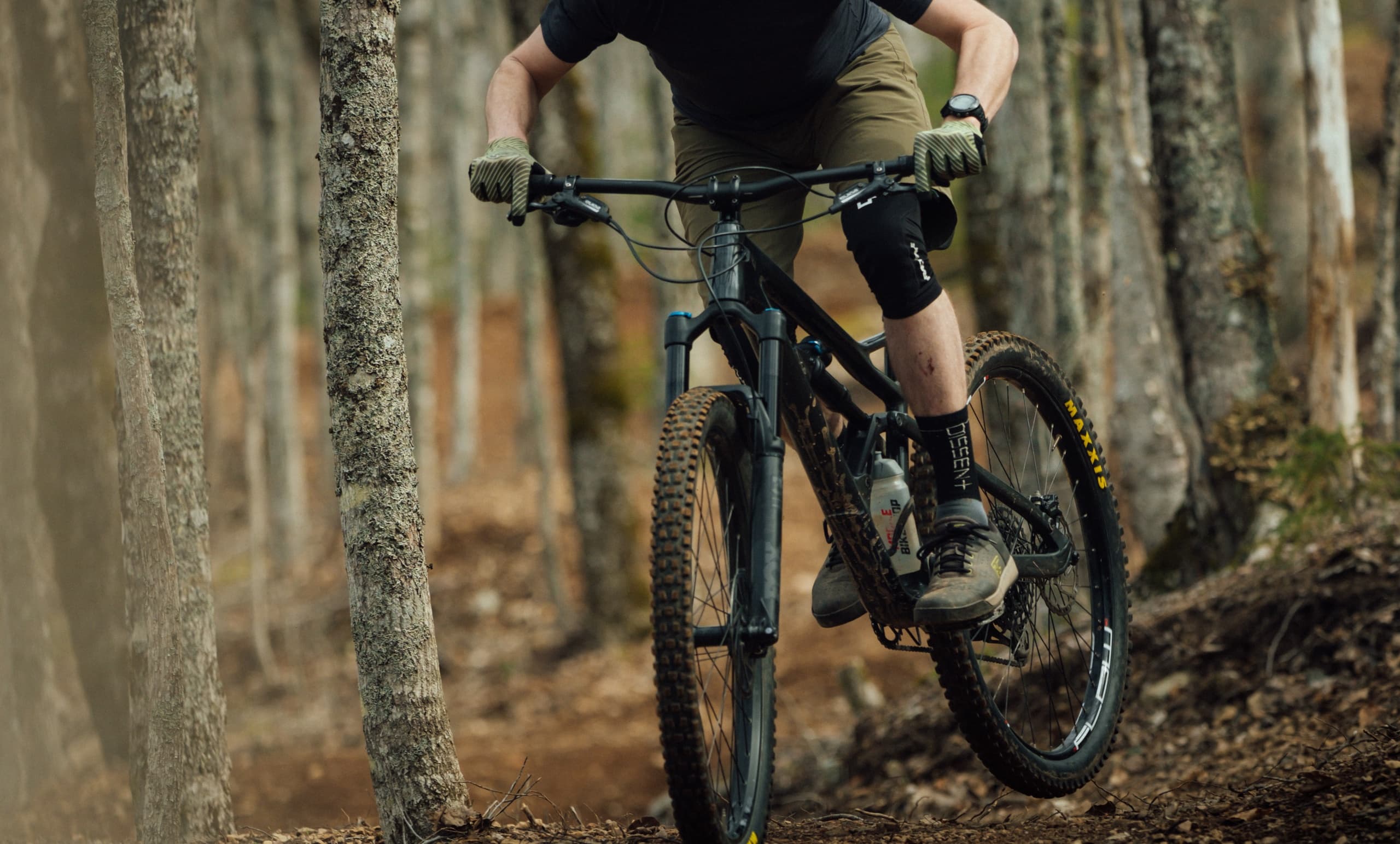 Mountain Bike Rental