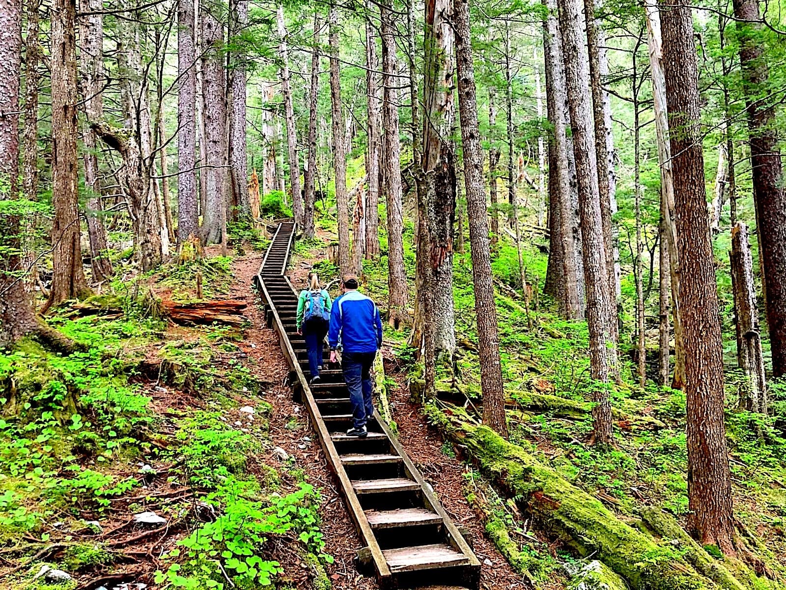 Guided Hike | TONGASS NATIONAL FOREST