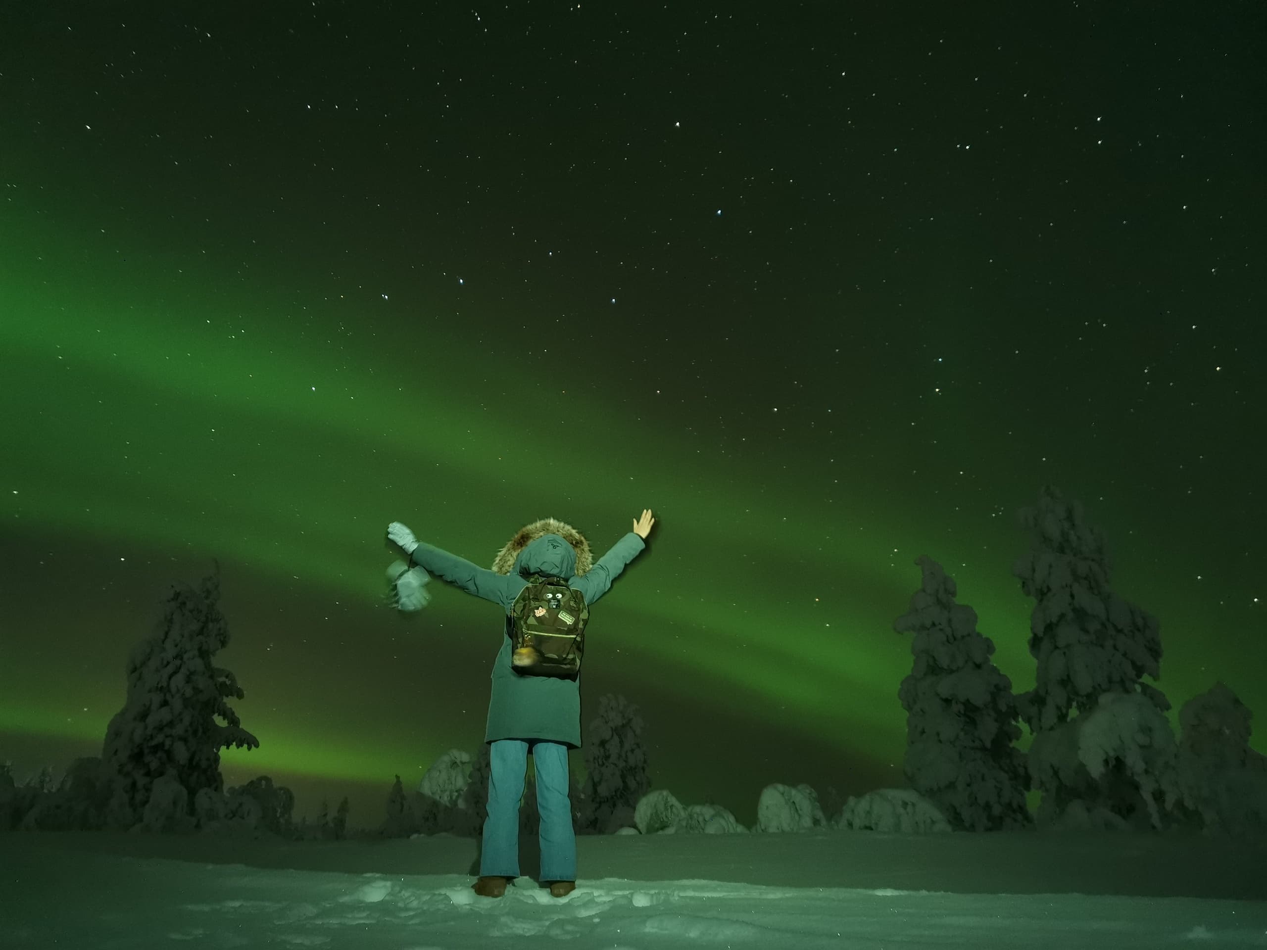 Private tour for 4-6h Aurora borealis night by camp fire.