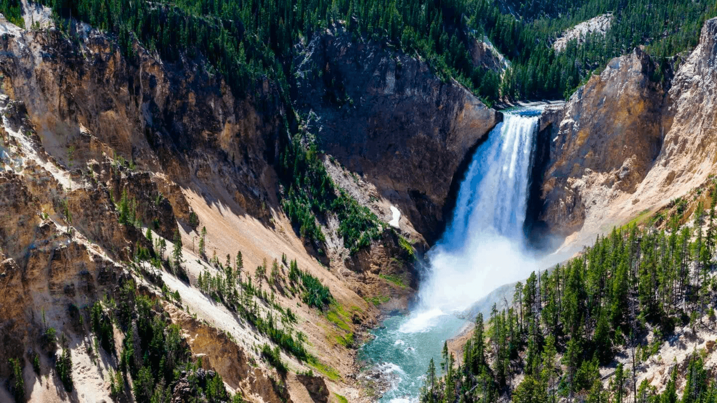 Best of Yellowstone - Public Tour