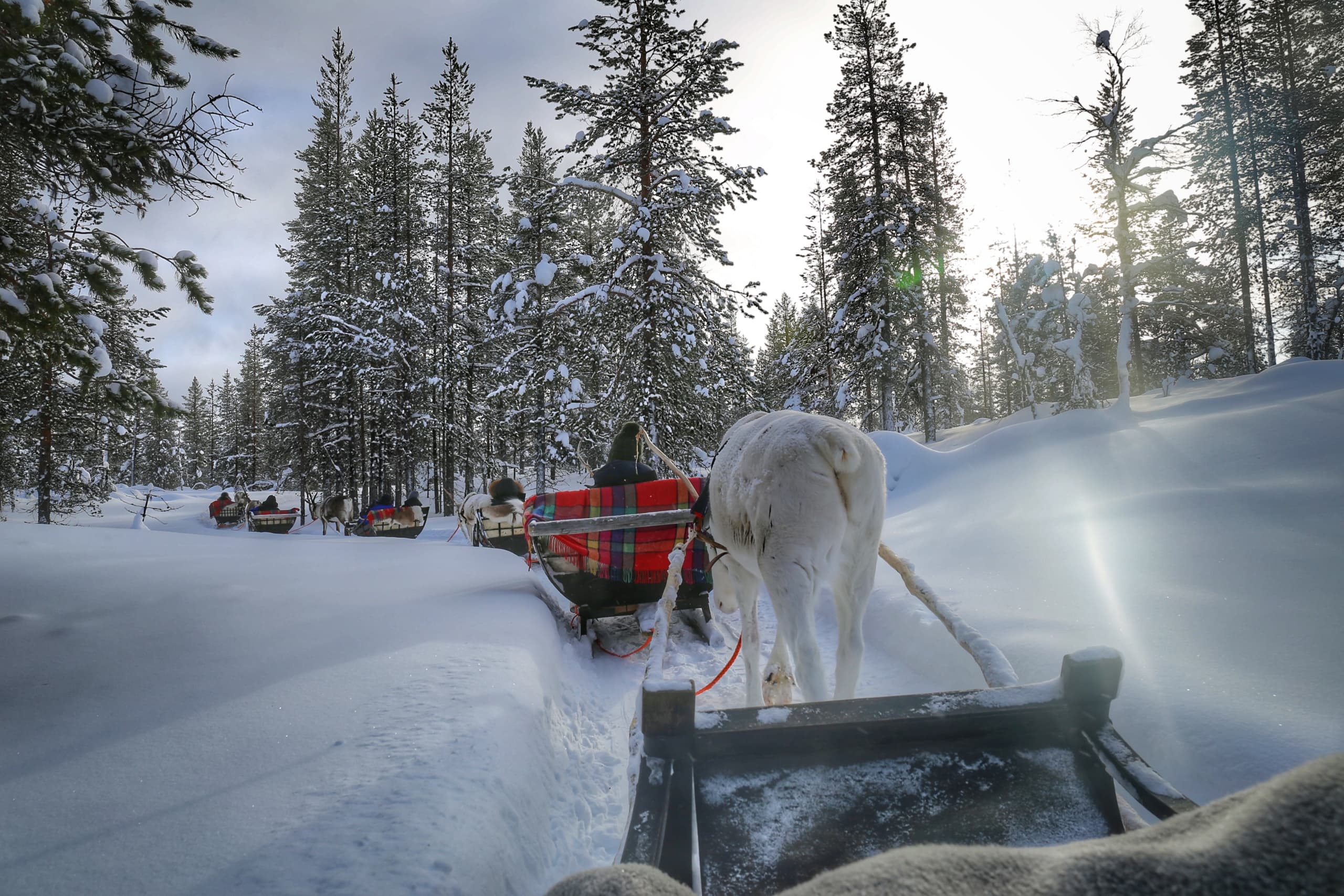 Pororekiajelu Lumen Valtakuntaan