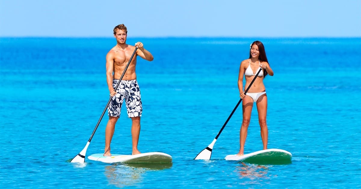 Full Day Paddleboard Rentals