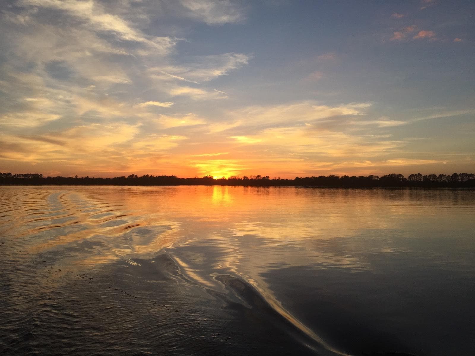 Eco Junkies Sunset Tour