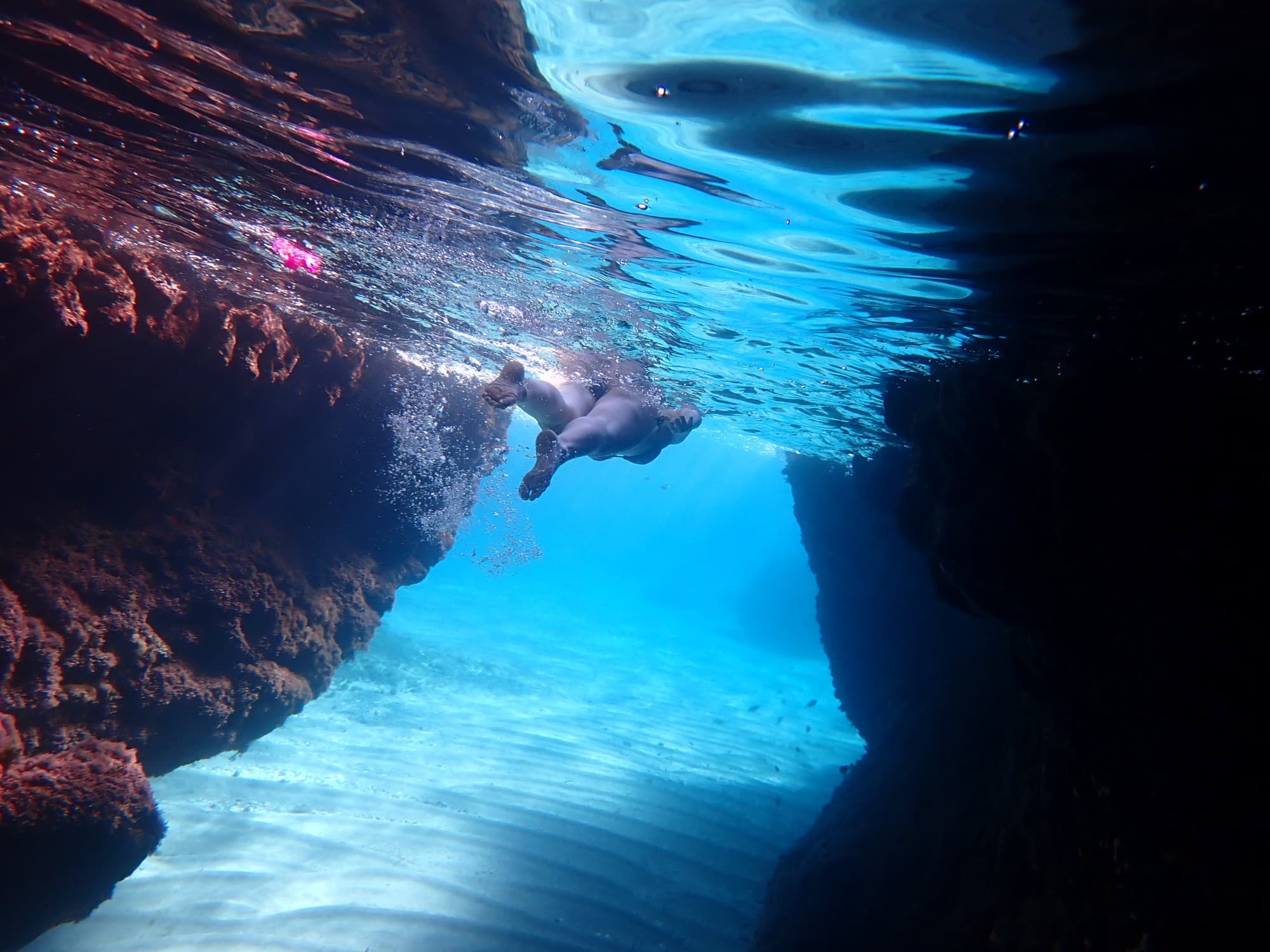 Guided snorkeling around Agia Napa Sea Caves and turtle spotting along east Cape Greko - 6 h trip from Nicosia