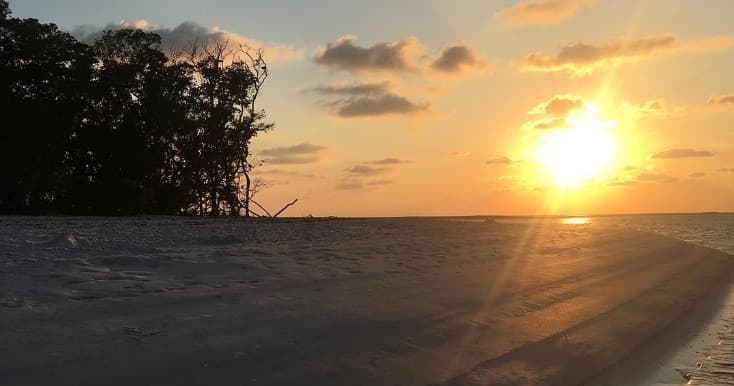 Ten Thousand Islands, Sunset, Shelling, & Dolphin Tour