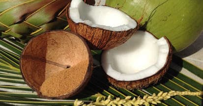 La Maison du coco