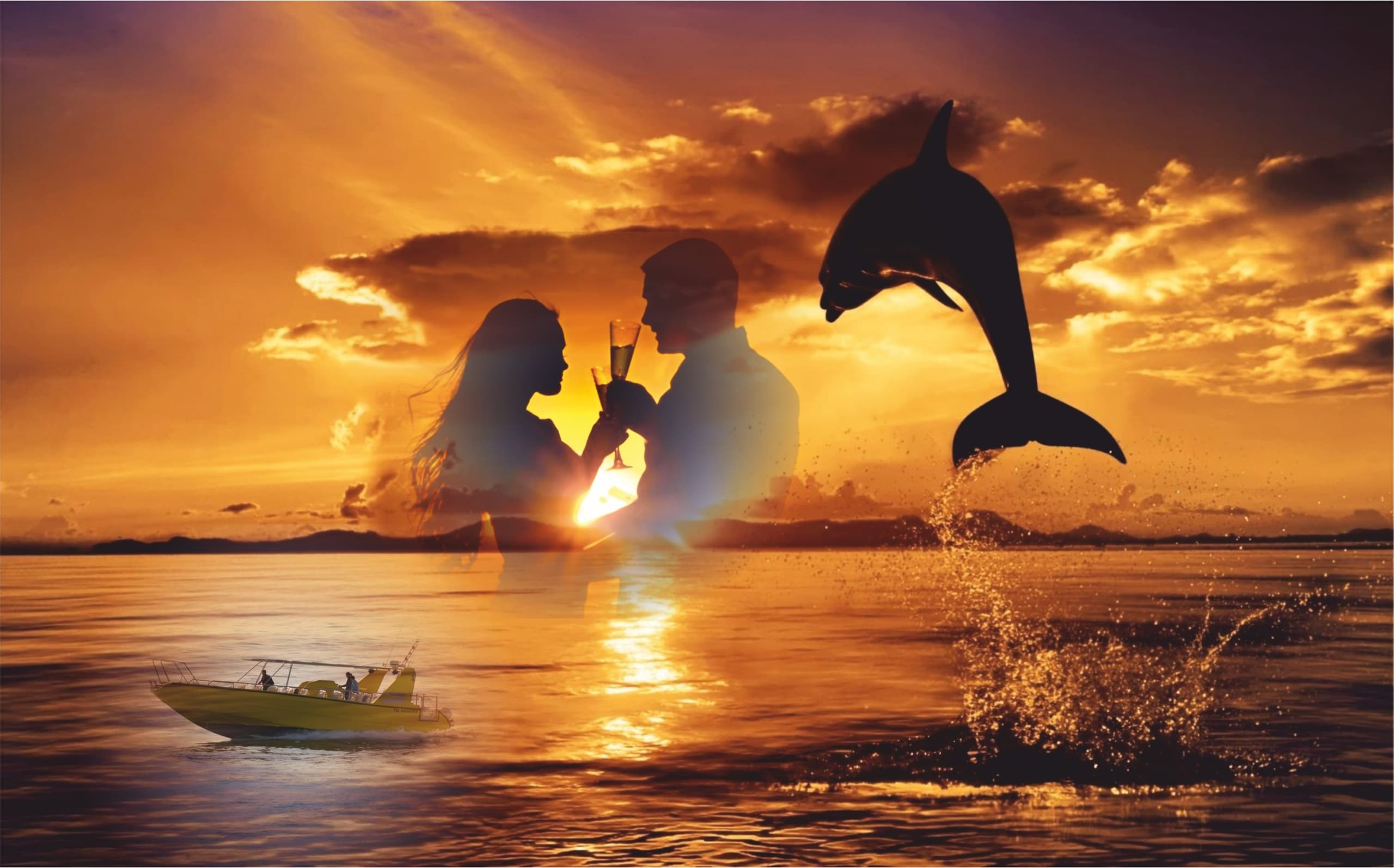 Puesta de sol y delfines