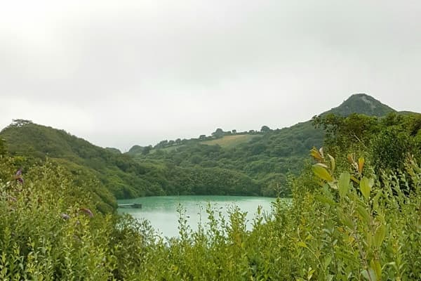 Cornish Clay Country guided walk