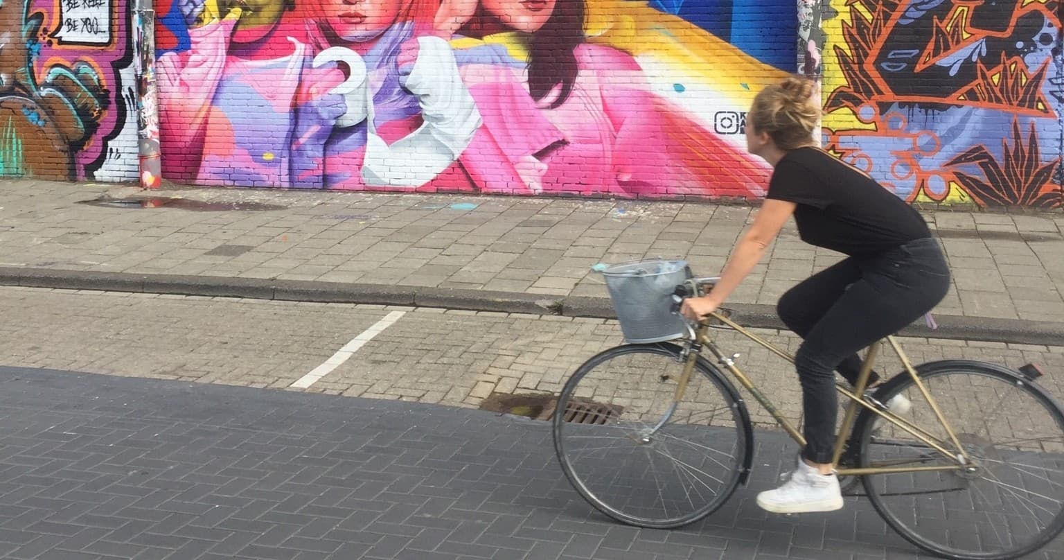 Private Amsterdam Bike Tour