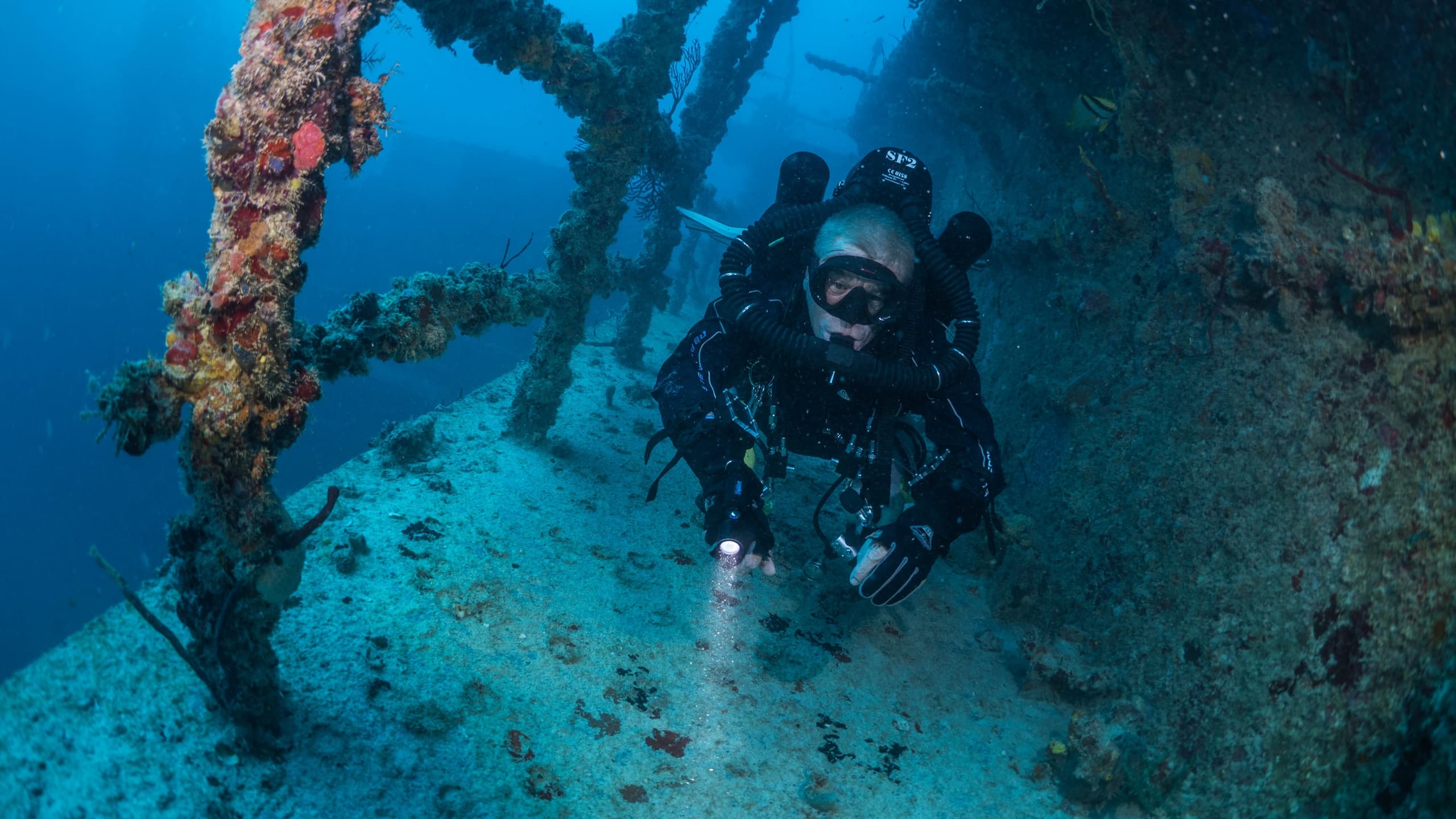 Wreck Dives
