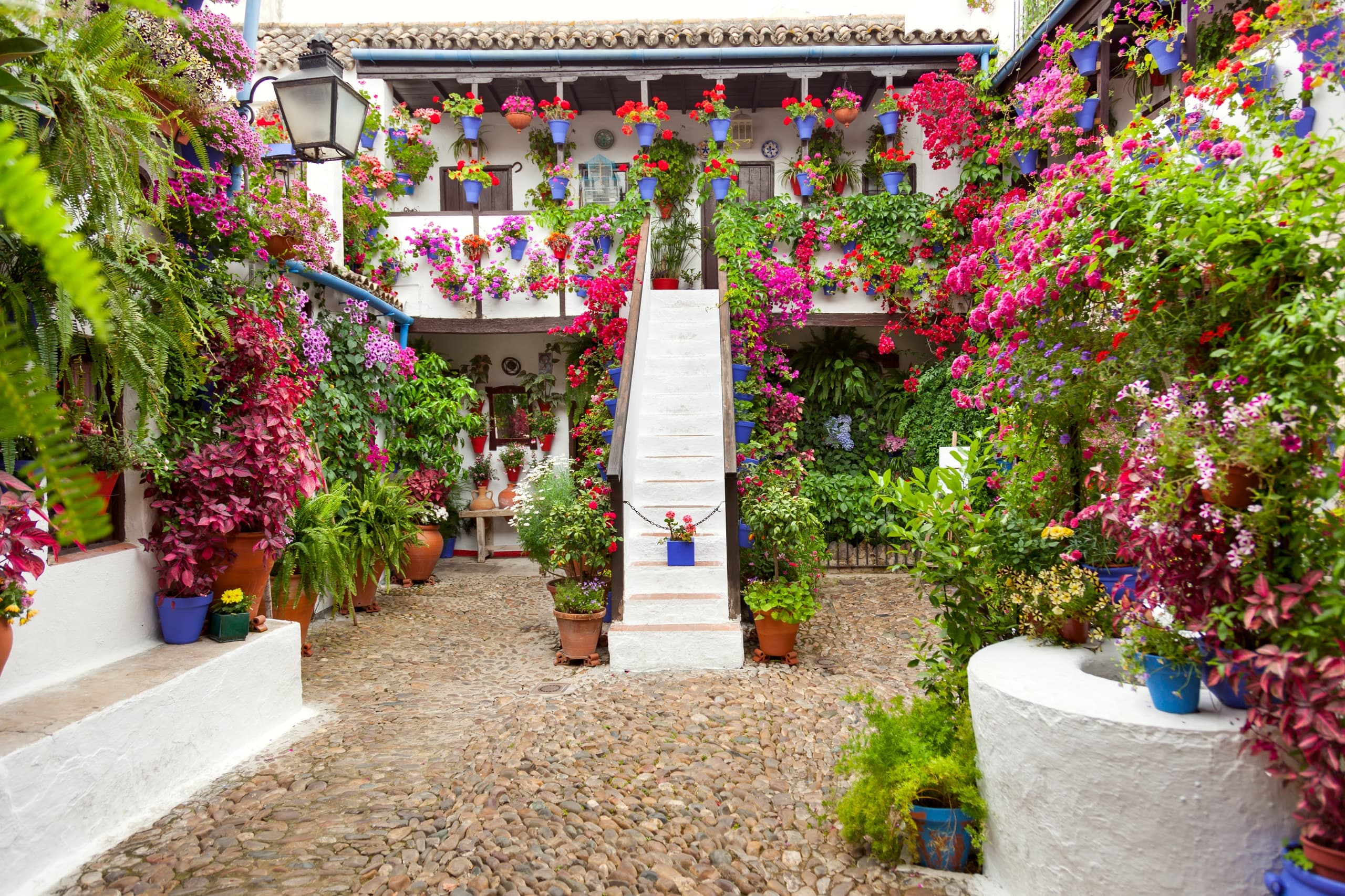 Patios de Córdoba