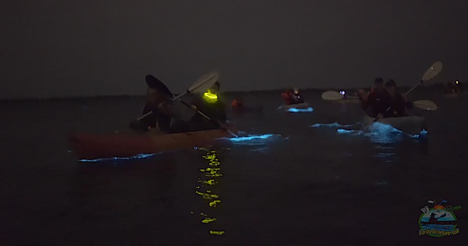 Florida Bioluminescent Clear Kayaking Tour • Beacon 42 (Titusville)