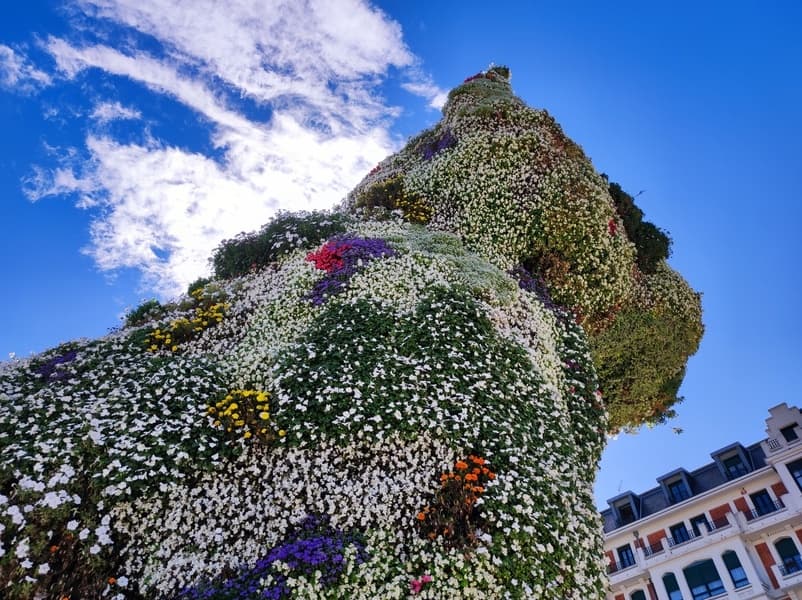 Bilbao City & The Guggenheim Museum Tour