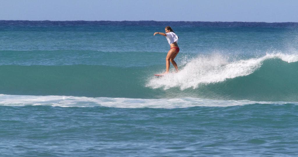 Surf Safari