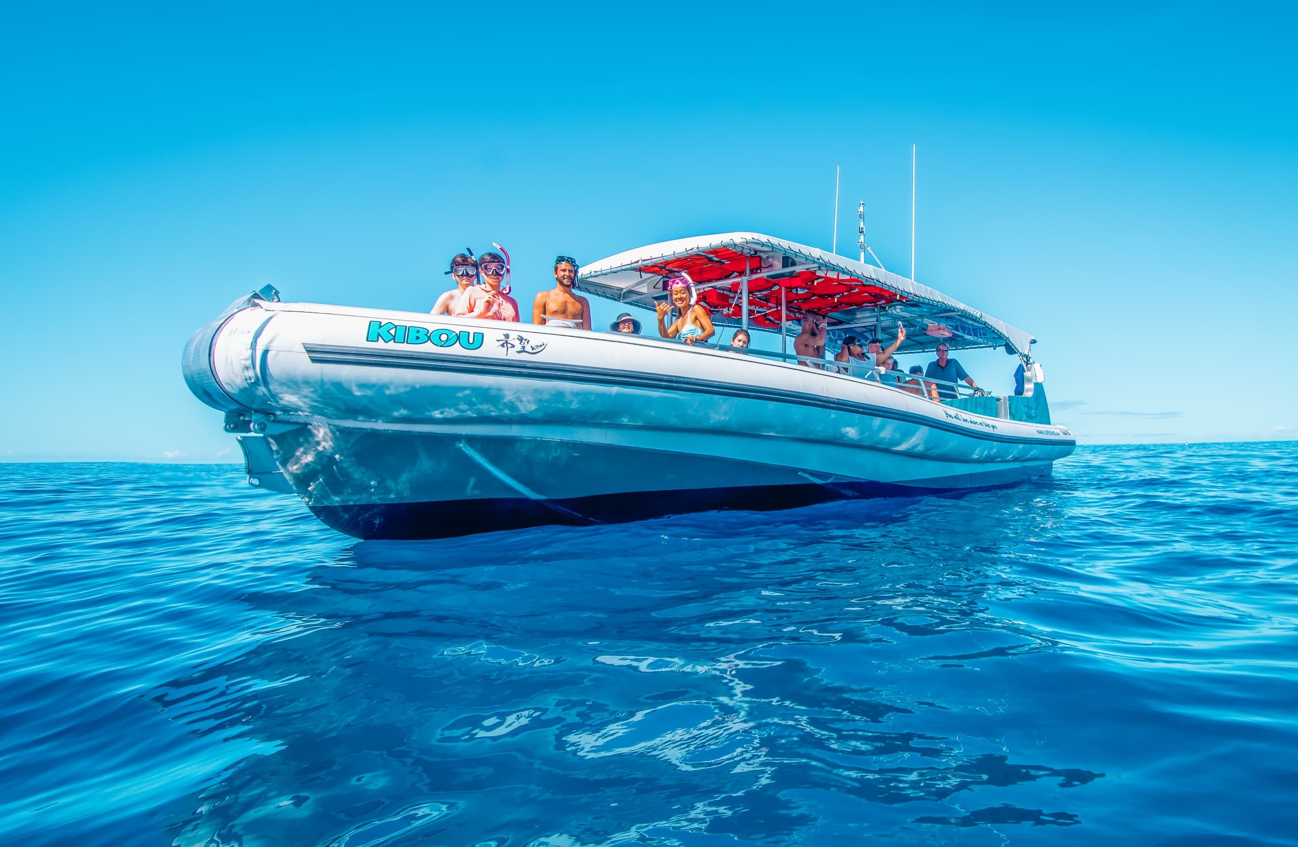 Kona Snorkel & Dolphin Watching