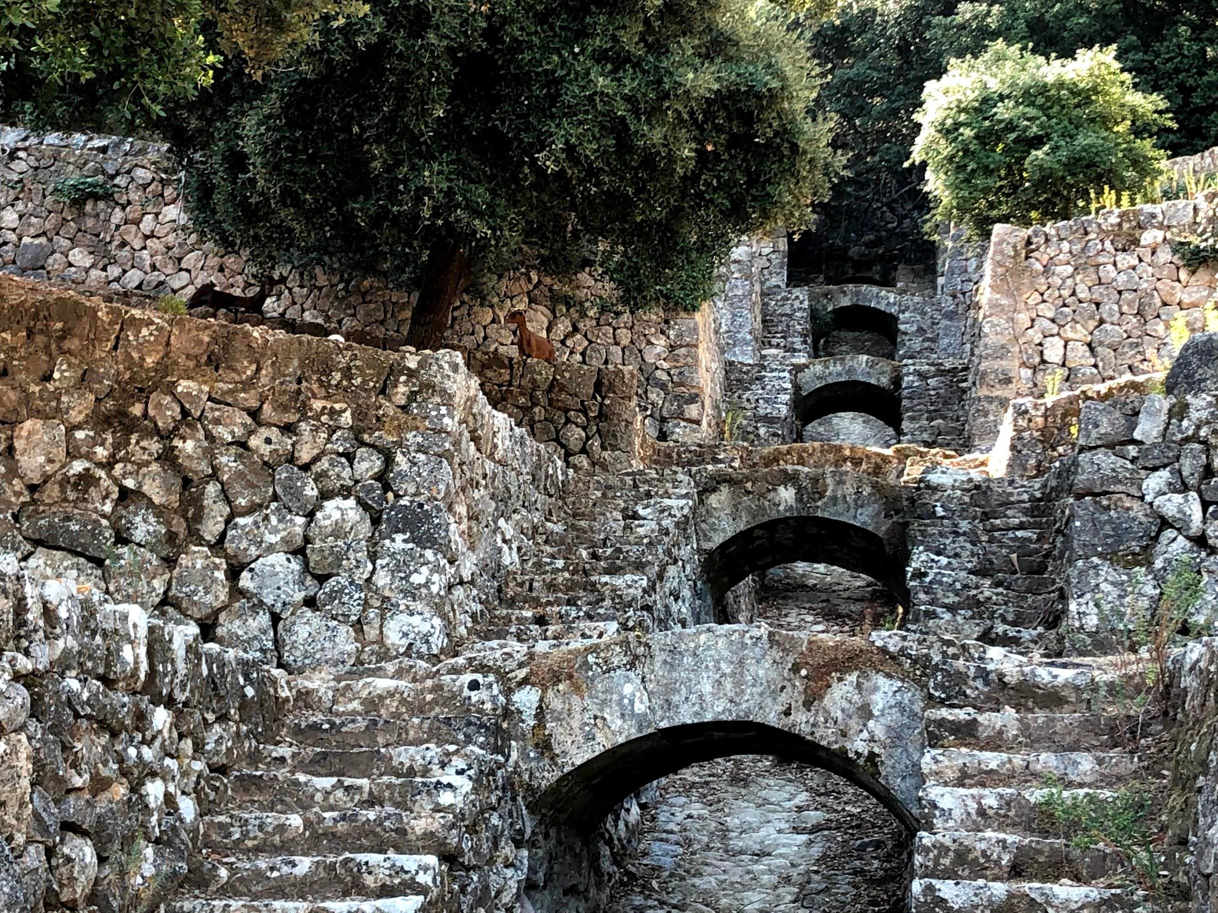 Maravillas ocultas de la Tramuntana