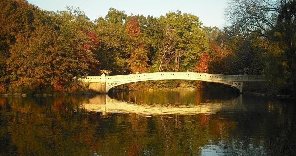 Central Park Tour
