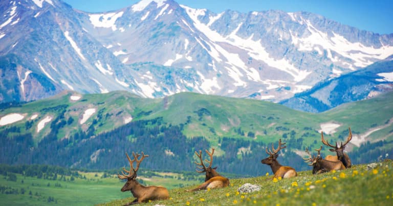 Morning Rocky Mountain National Park Tour