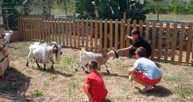 Granja de Animales