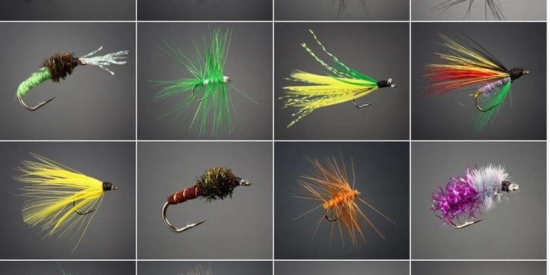 6 Day Fishing Rentals