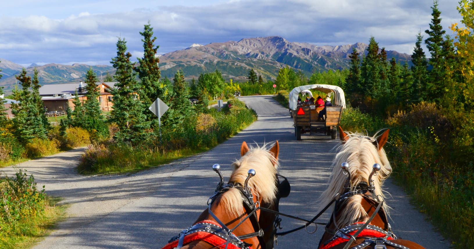 Horse-Drawn Covered Wagon with Dining