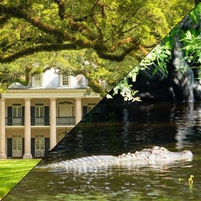 Afternoon Covered Boat Swamp Tour + Oak Alley Plantation