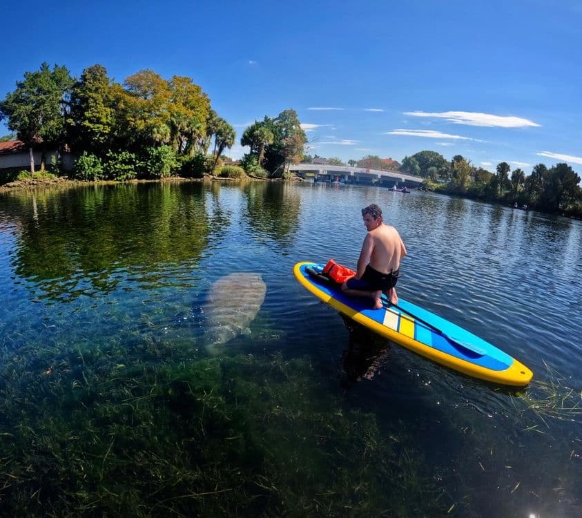 8-Hour Rentals- ALL Clear Kayaks, Kayaks, Paddle boards, & Canoes!