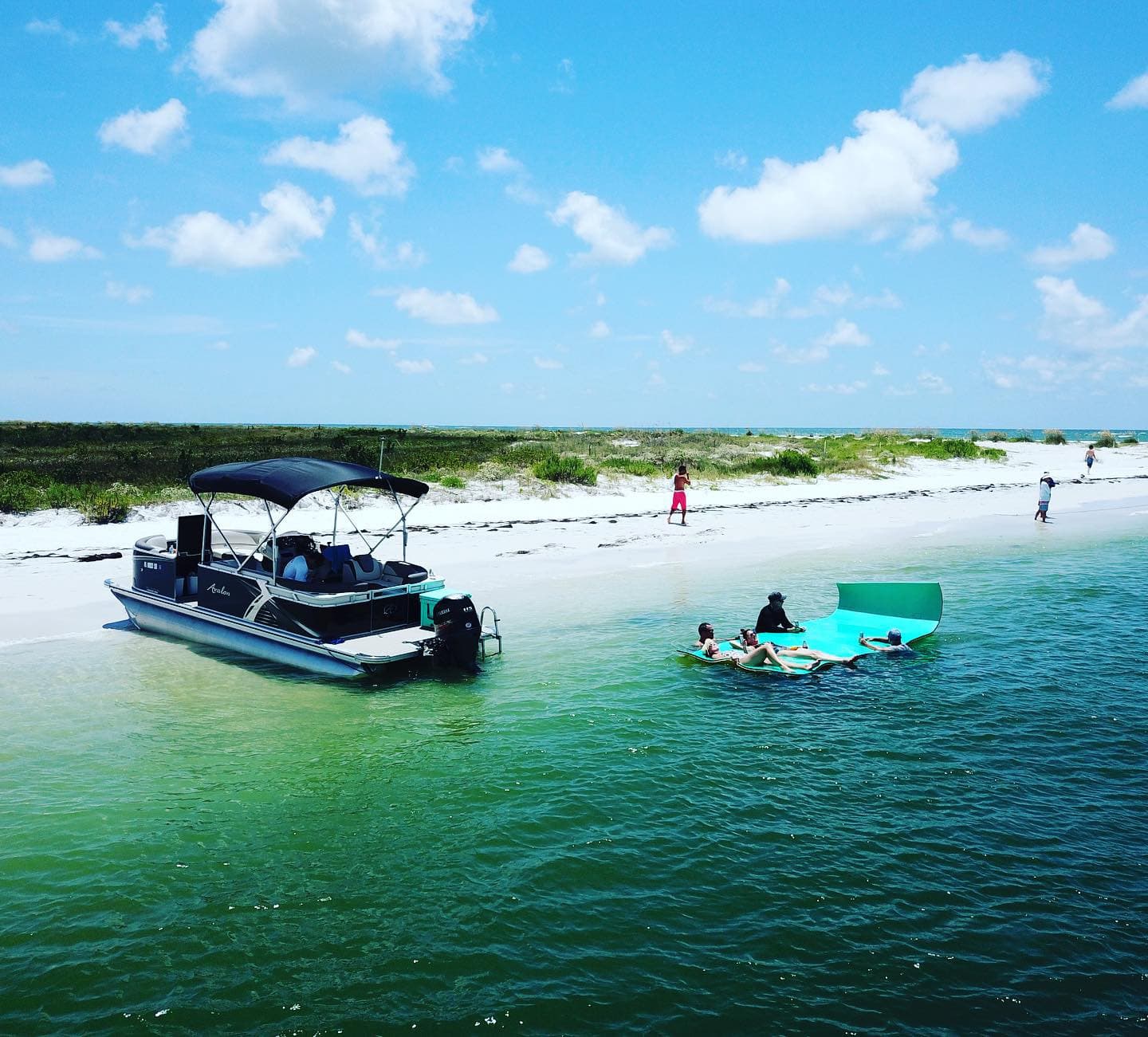 Seas the Day