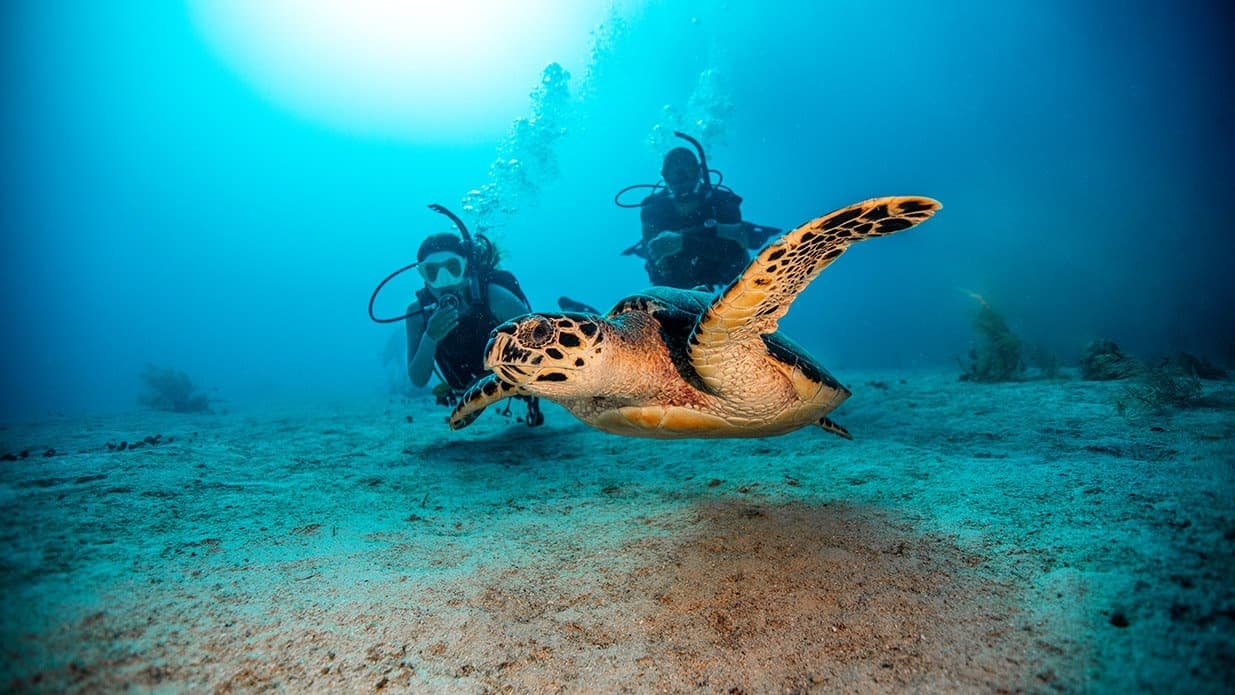 First Time Scuba Divers!