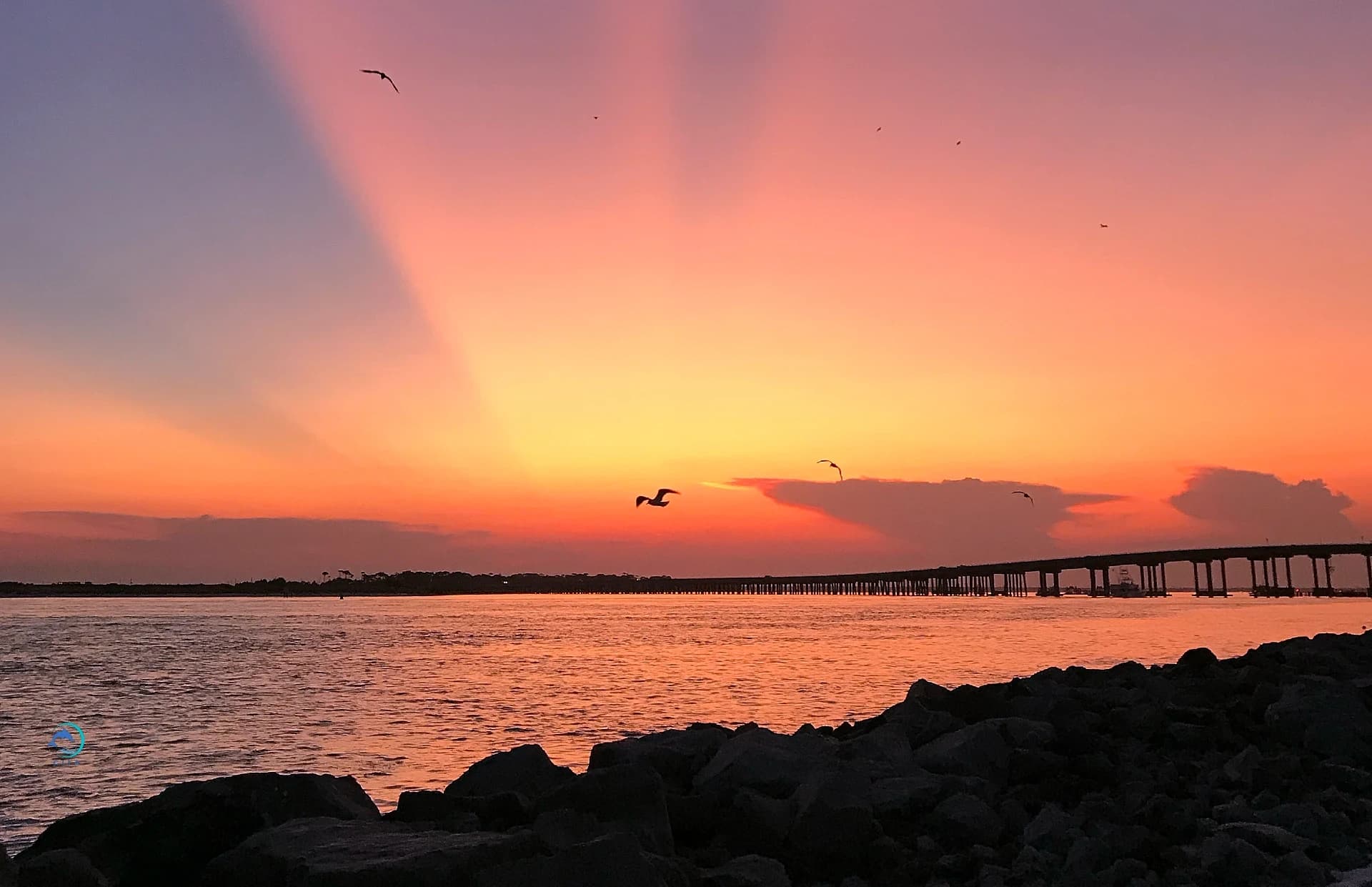 Sunset Cruise
