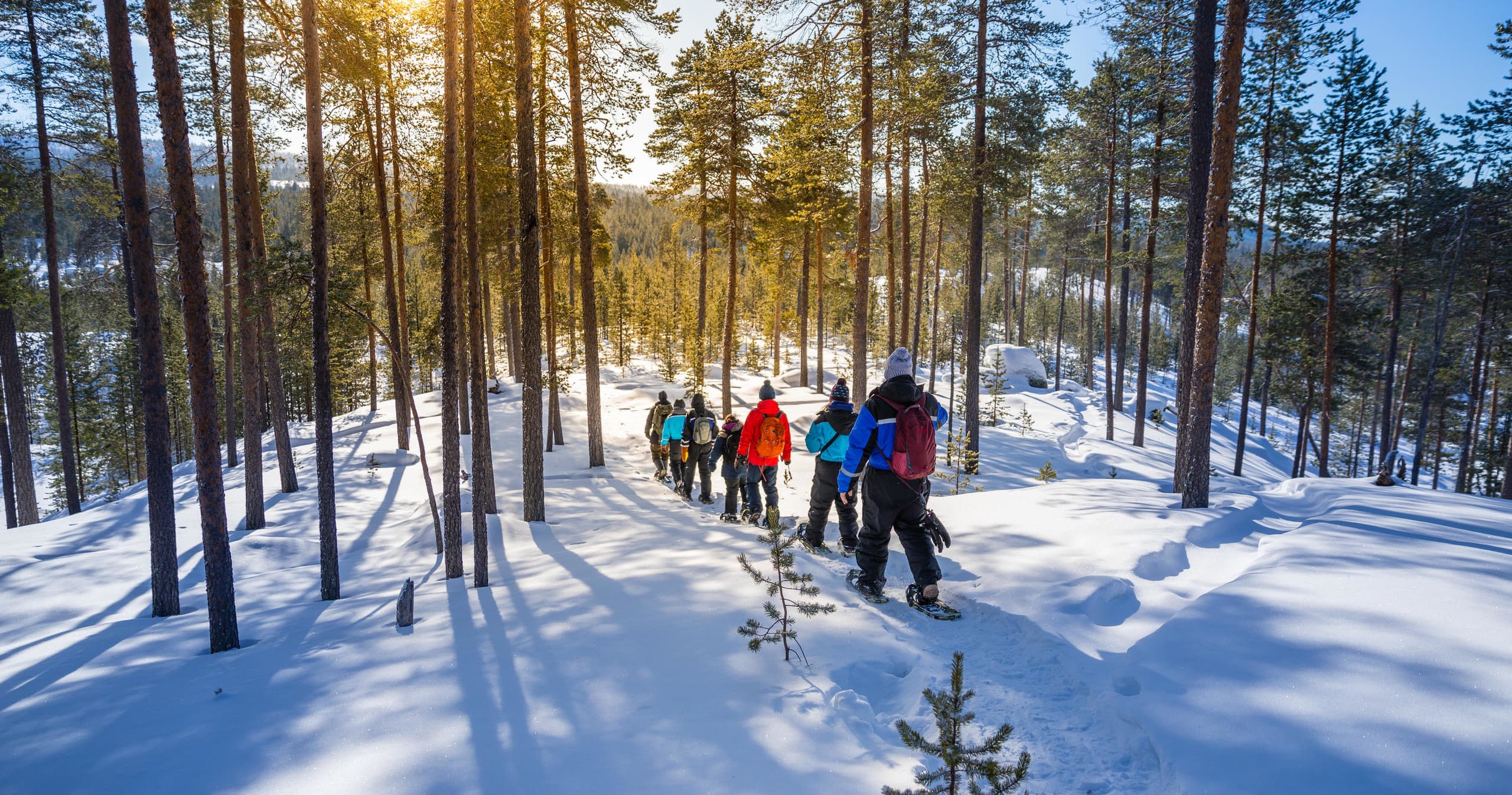 Gentle Snowshoeing