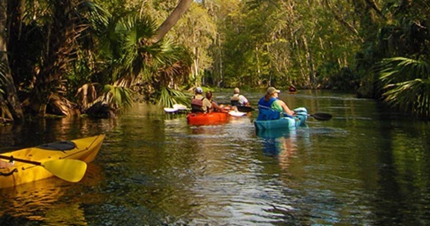 Five Day Kayak / Canoe Rental