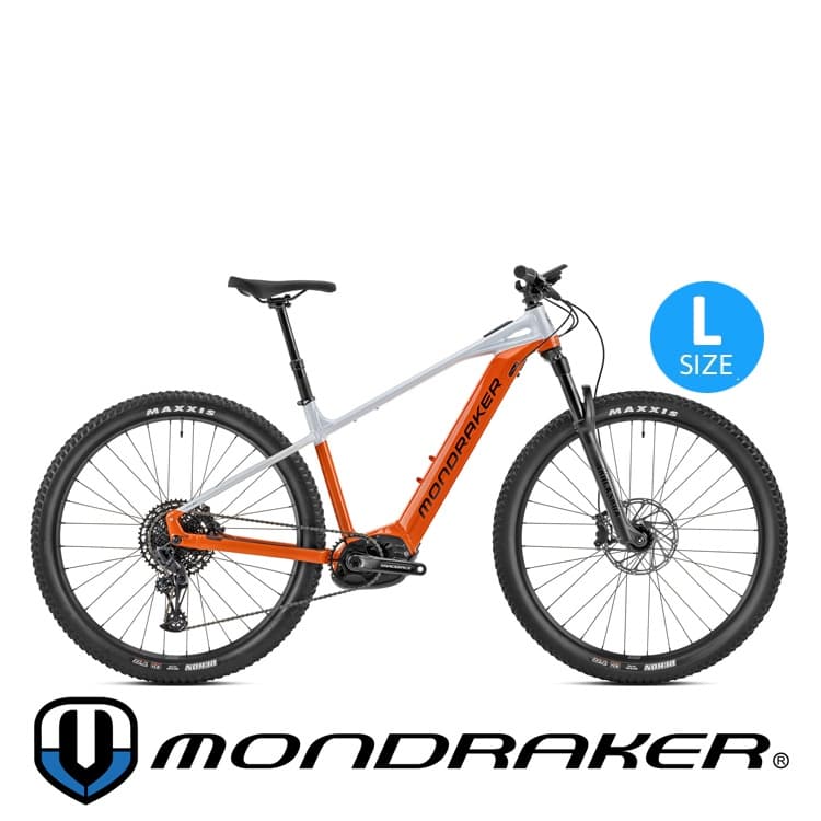 E-Bike Large