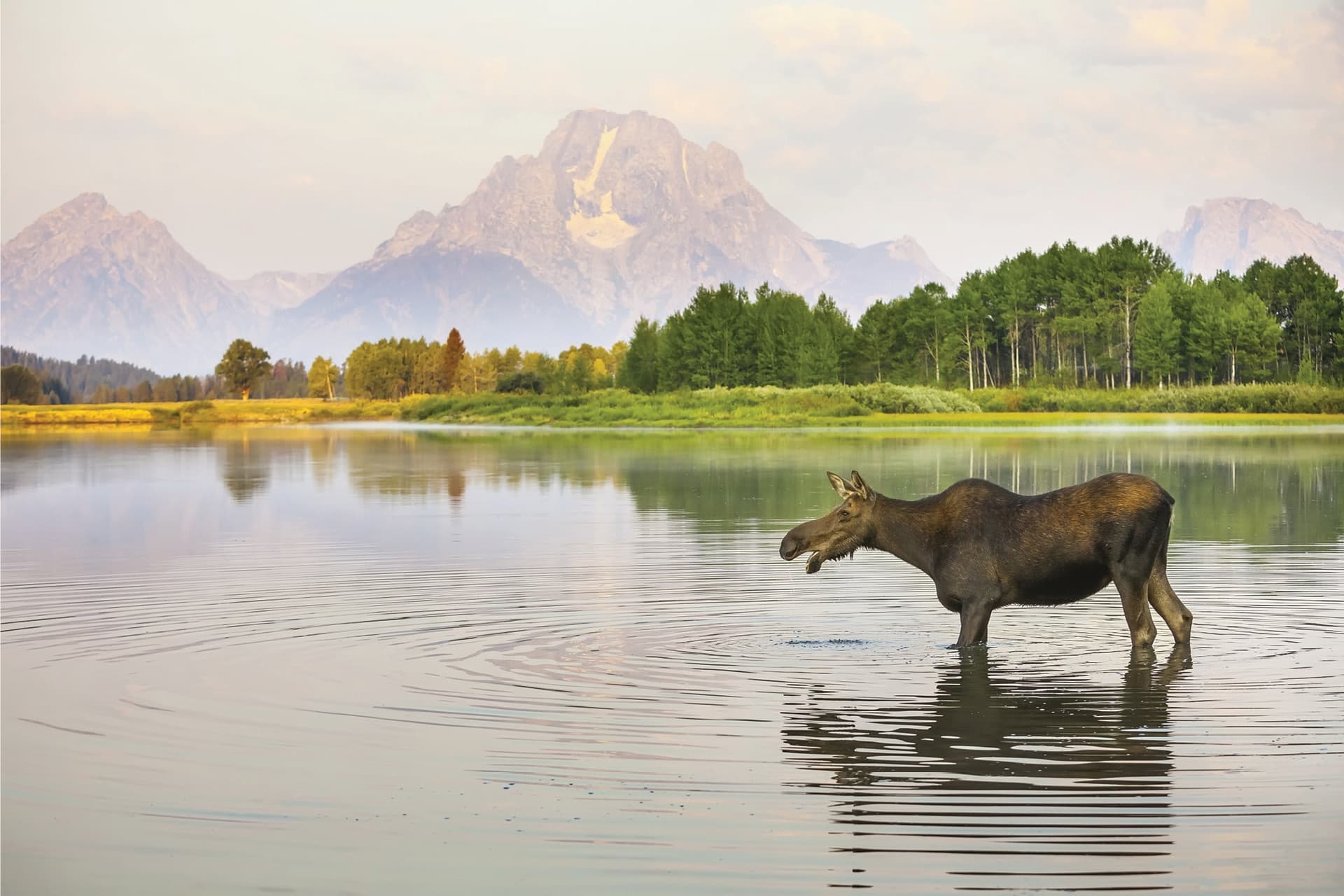 Private Sunriser Brunch Experience departs from Jackson WY
