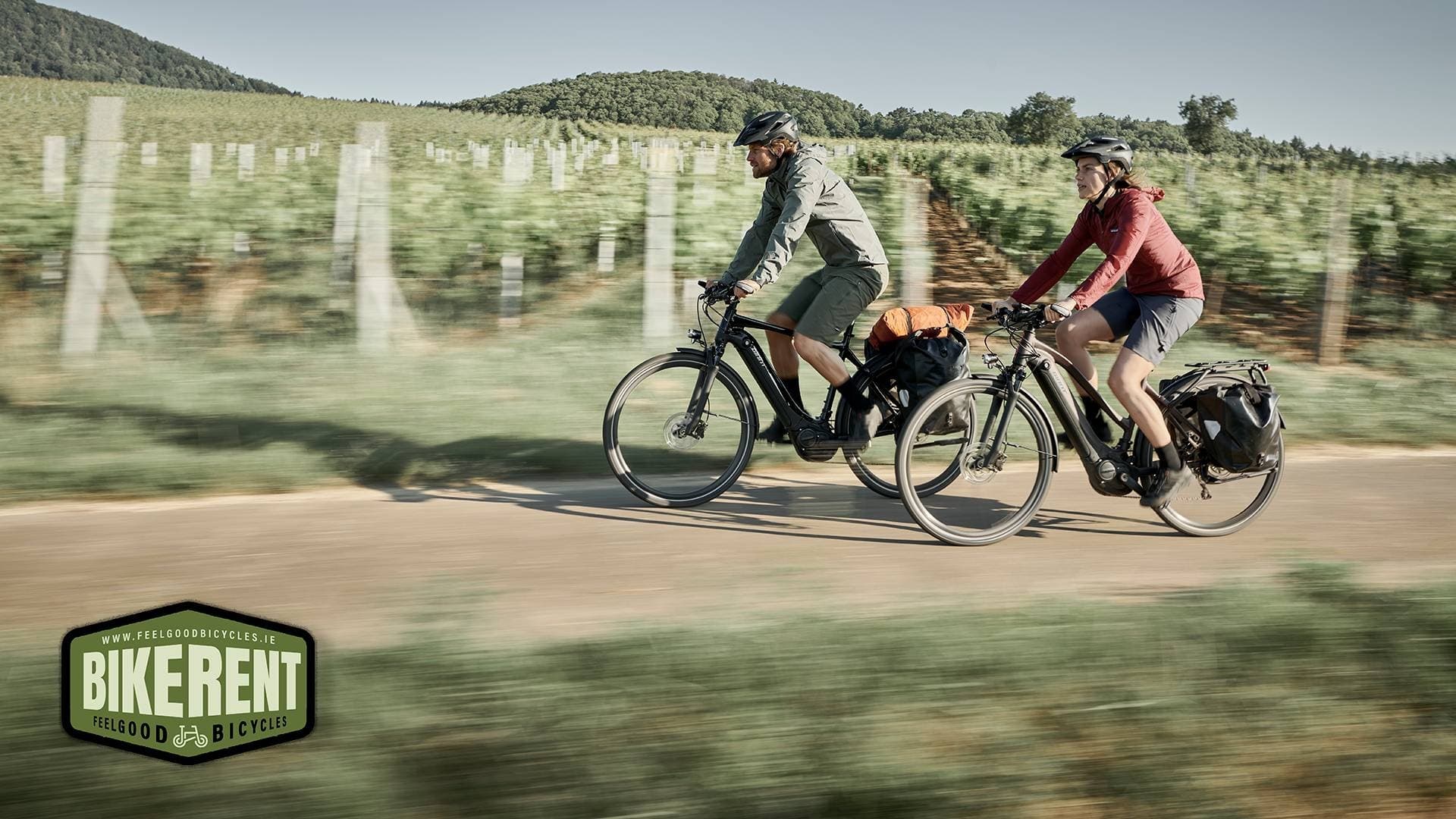 One Hour Bike Rental