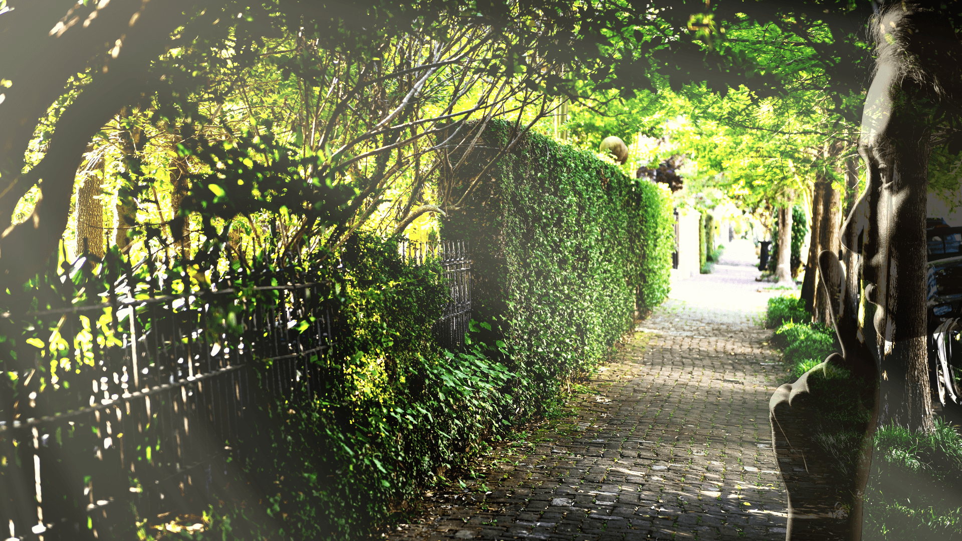 Gossip & Grandeur: A Stroll through New Orleans' Garden District