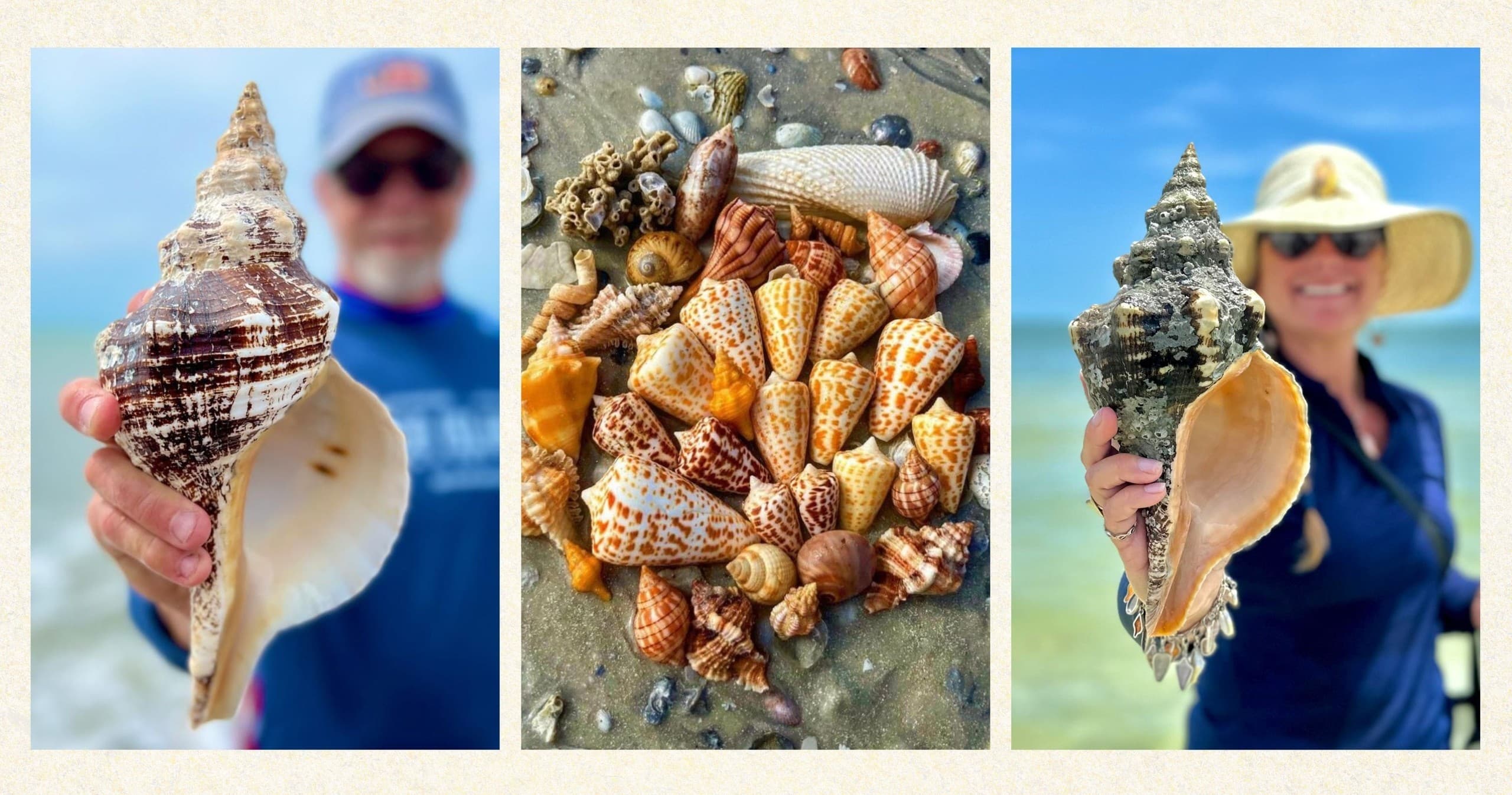 10K Islands Guided Shared Shelling Tour